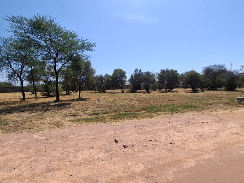 A view of a vacant residential plot featuring natural vegetation, mature trees, and direct access from a dirt road.