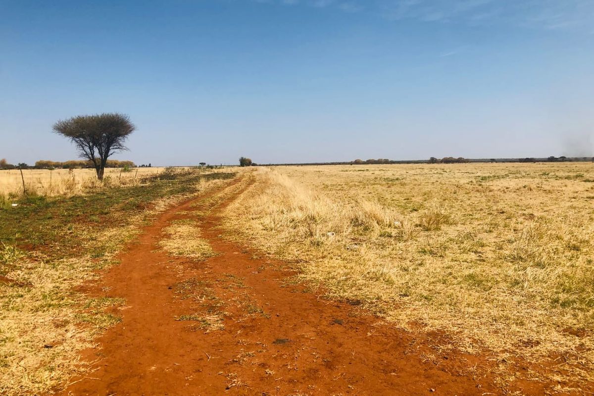 A wide-angle view of a vacant residential plot featuring a dirt access track and natural dry grassland under a clear blue sky.