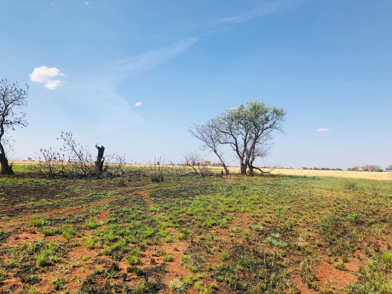 An open, undeveloped residential land plot featuring natural vegetation and scattered trees, showing signs of recent fire impact on the ground cover.
