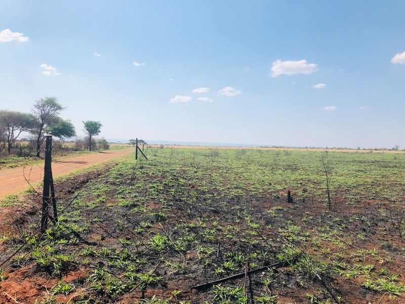 A view of a vacant residential plot featuring wire fencing and a dirt road, with signs of recent fire damage to the ground cover.