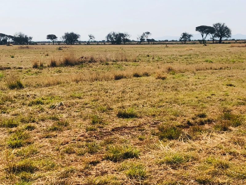 A wide-angle view of open, undeveloped residential land featuring natural grassland and scattered mature trees on the horizon.
