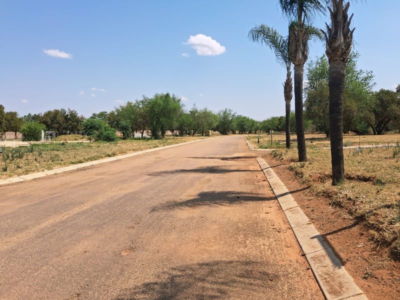 A view of a paved residential street with concrete curbing and mature palm trees, showcasing the access and surroundings of the vacant land.