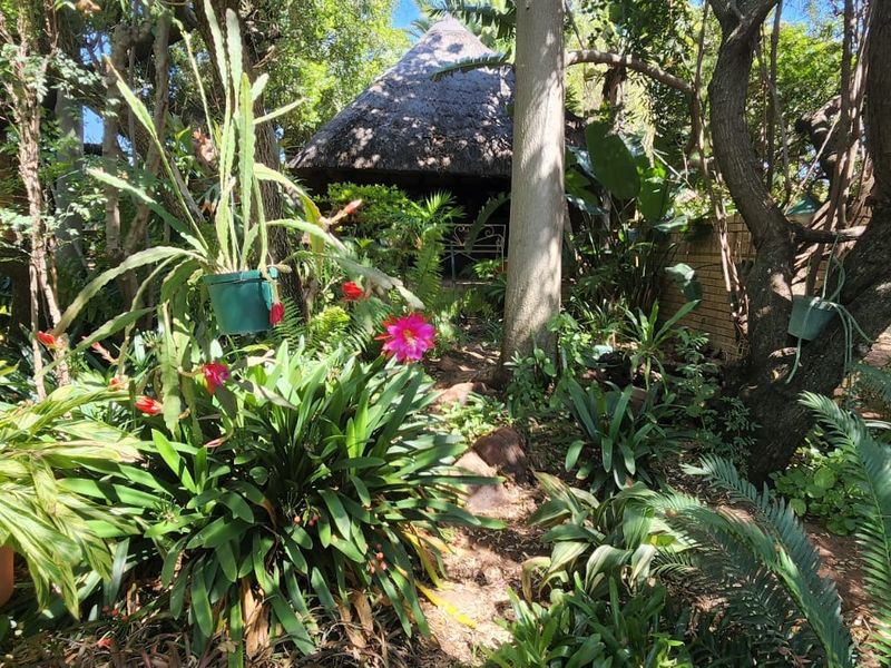 A lush, established garden featuring mature trees, diverse plantings, and a glimpse of a traditional thatched roof structure in the background.