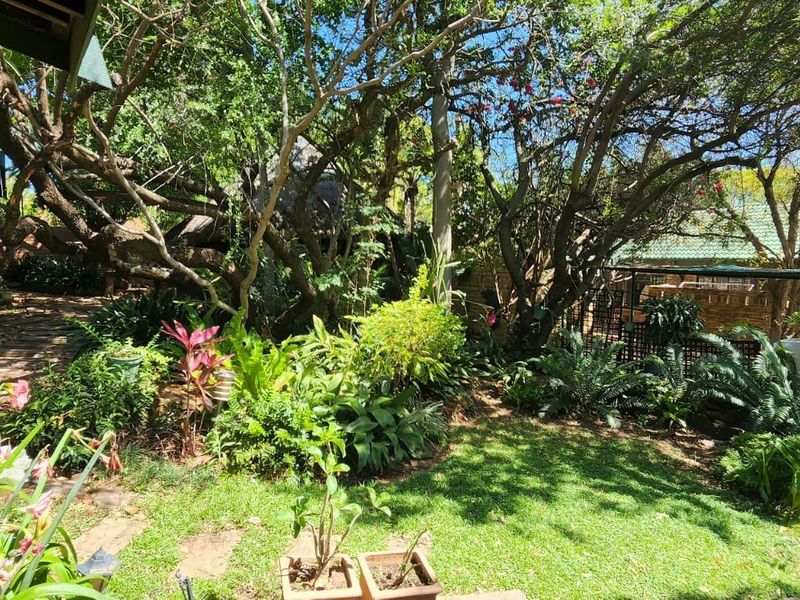 A lush, well-established garden featuring mature trees, green lawn, and brick-paved pathways leading to the home entrance.