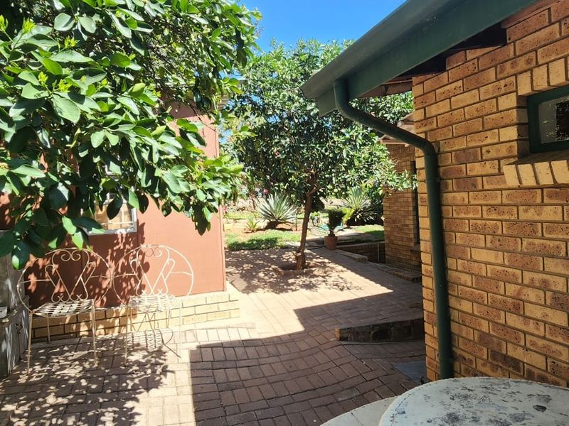 A paved outdoor patio area featuring face brick walls, established trees, and functional guttering systems.
