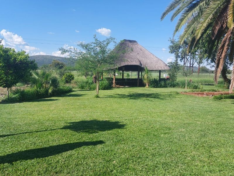 A well-maintained garden featuring a traditional thatched lapa, expansive green lawn, and mature palm trees in a peaceful small holding setting.
