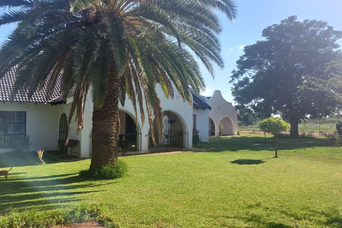A view of the rear exterior featuring a well-maintained lawn, mature palm tree, and a covered patio with arched architectural details.