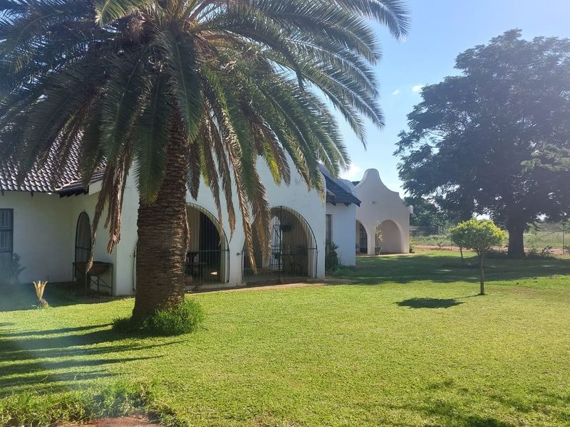 A view of the rear exterior featuring a well-maintained lawn, mature palm tree, and a covered patio with arched architectural details.
