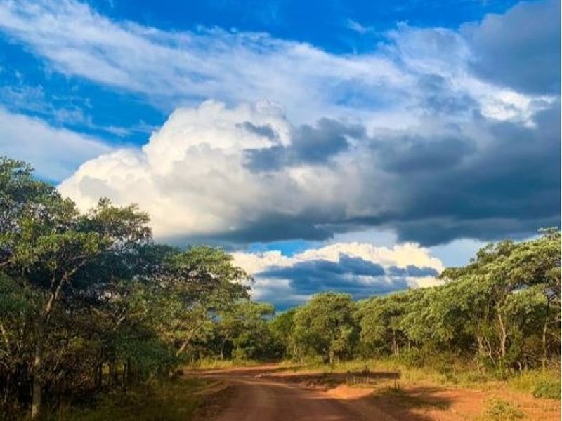 A scenic view of a dirt access road winding through natural bushveld and indigenous trees under a dramatic cloudy sky.