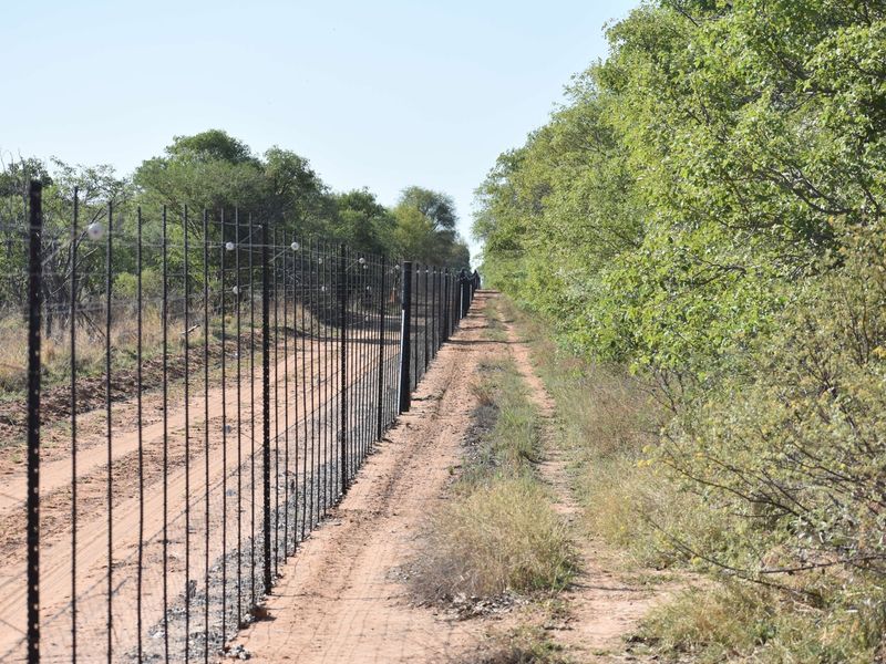 A well-maintained game fence running along a dirt track on the farm perimeter, surrounded by natural bushveld vegetation.