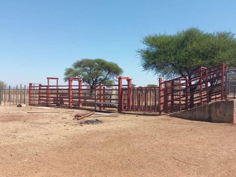 Outdoor livestock handling facility featuring metal cattle pens and a loading ramp on a rural farm property.