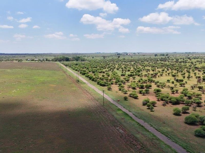 An aerial view of the expansive farm property, showcasing open grazing land, scattered indigenous trees, and a central access road with power lines.