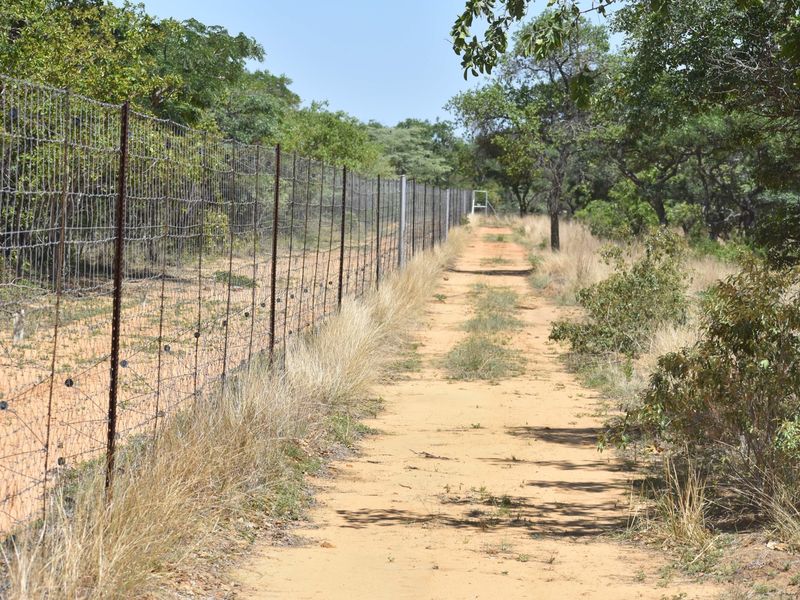A dirt access track running alongside a wire mesh perimeter fence on a farm property, surrounded by natural bushveld vegetation.