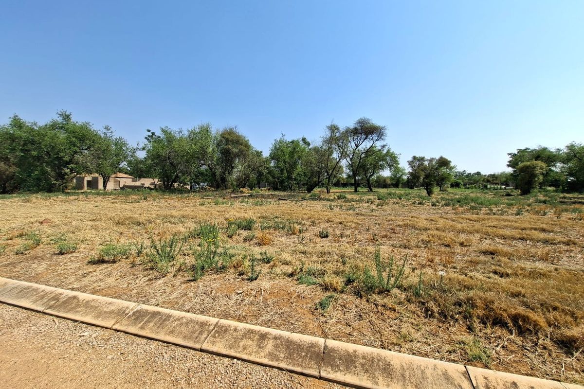 A vacant residential plot featuring natural vegetation, mature trees, and an established concrete curb along the street frontage.
