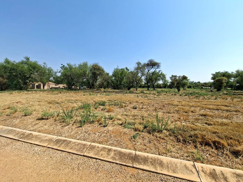 A vacant residential plot featuring natural vegetation, mature trees, and an established concrete curb along the street frontage.