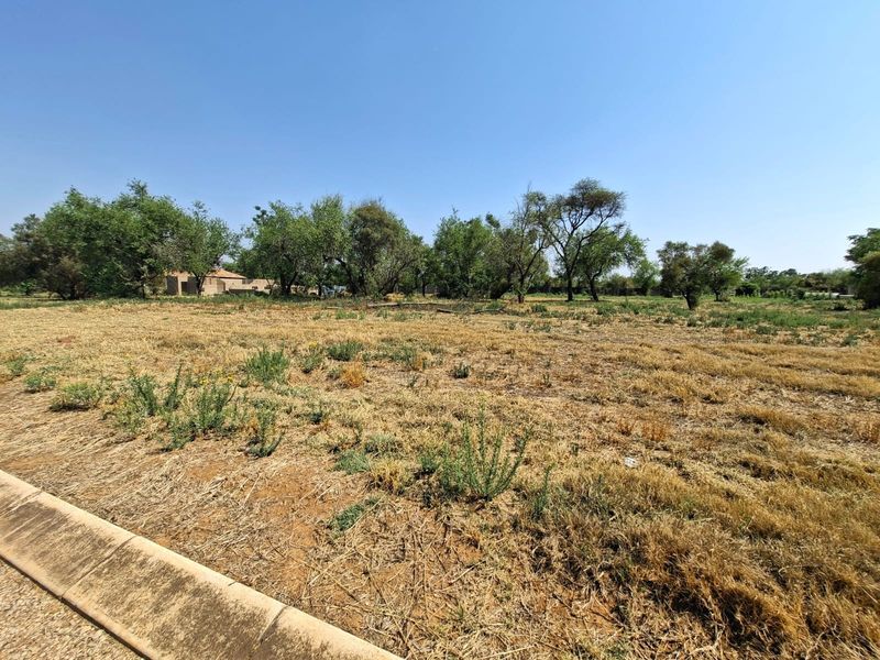 A vacant residential plot featuring dry grass, mature trees, and a concrete curb along the street boundary.