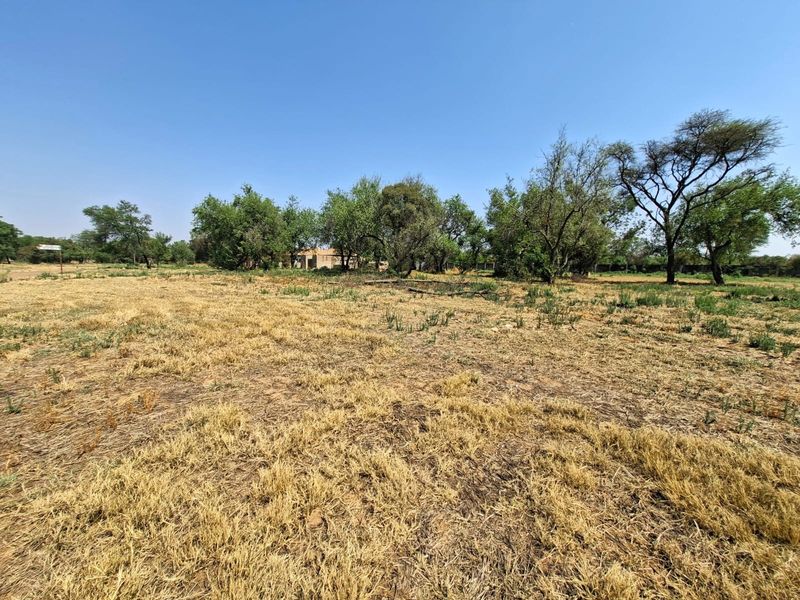 A wide-angle view of a vacant residential plot featuring established trees and natural dry grassland.