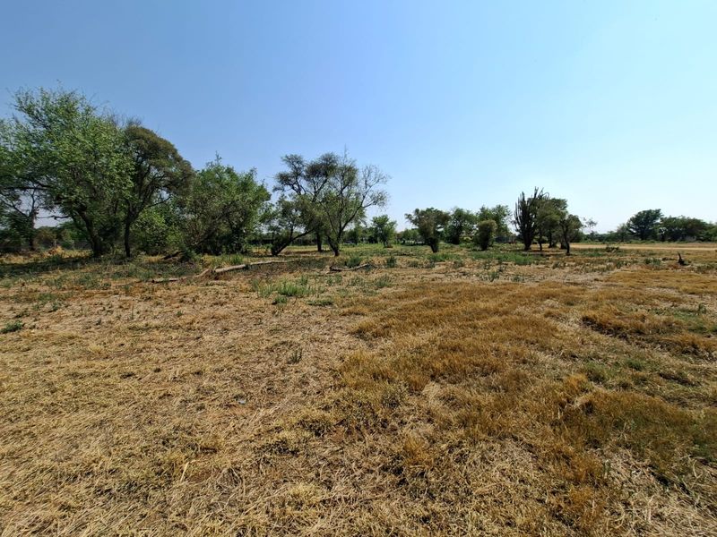 A wide-angle view of a vacant residential plot featuring natural dry grass and mature trees.