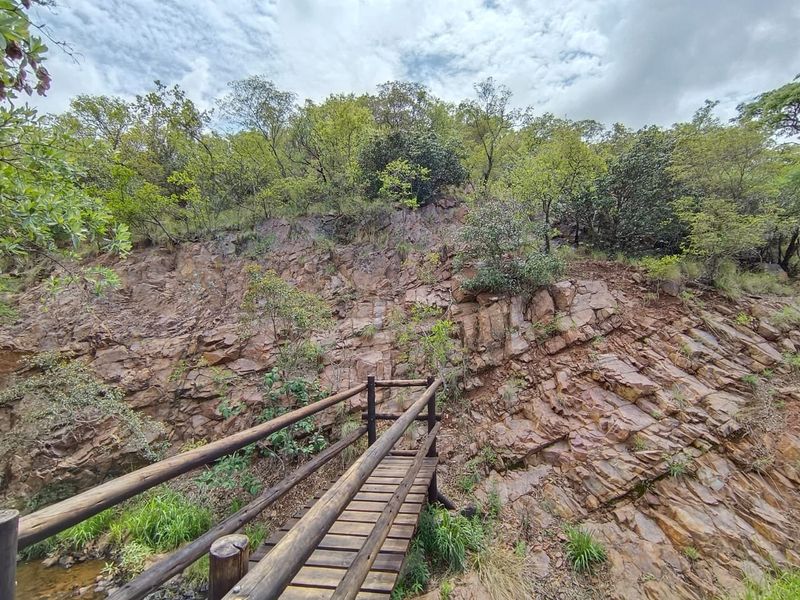 A natural landscape view featuring a wooden footbridge set against a rugged rocky cliff face and lush native vegetation.