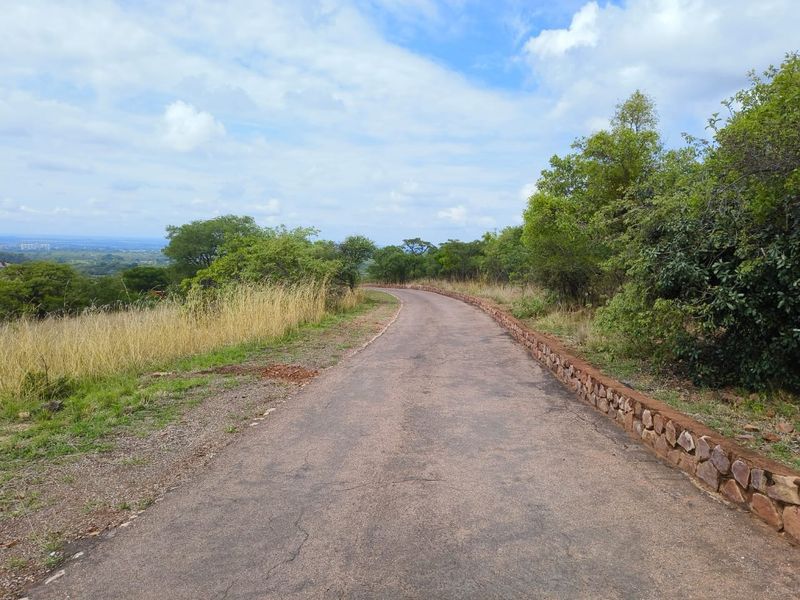 A paved driveway leading through the residential property, featuring a stone retaining wall and natural surrounding landscape.