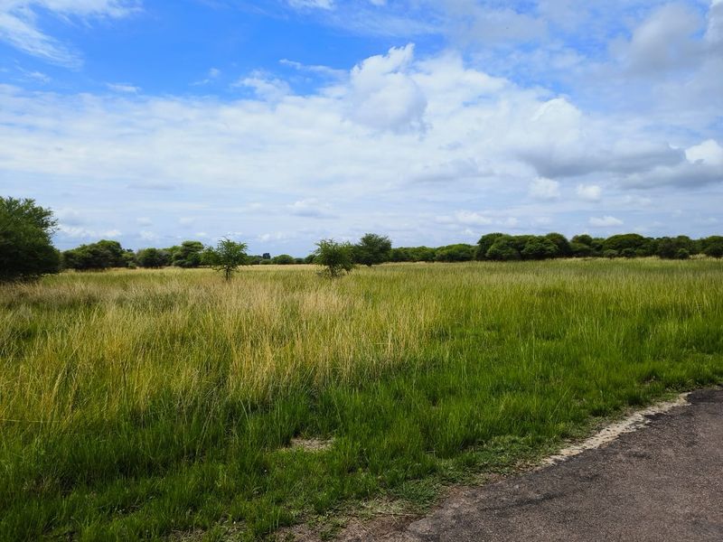 A view of a vacant residential plot featuring open grassland and bordering asphalt road access.
