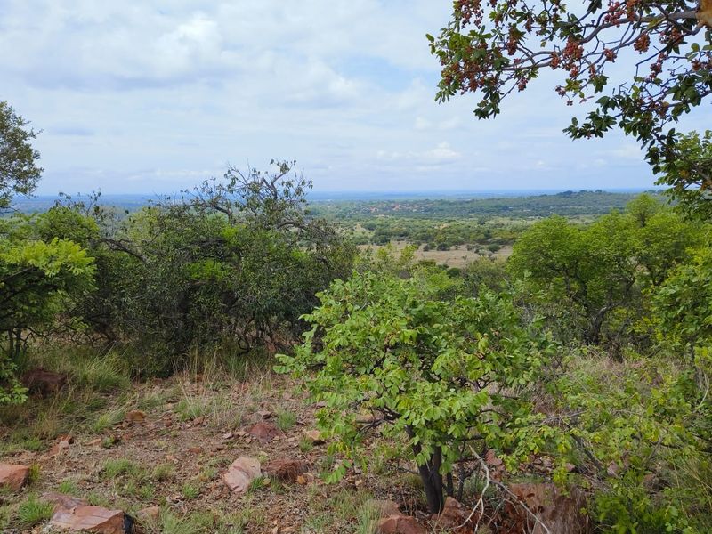 A scenic elevated view overlooking the natural landscape and surrounding bushveld terrain.