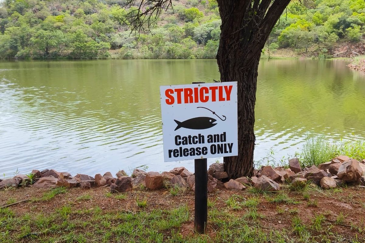A scenic view of a natural lake surrounded by lush green hills and trees, featuring a catch and release fishing sign.