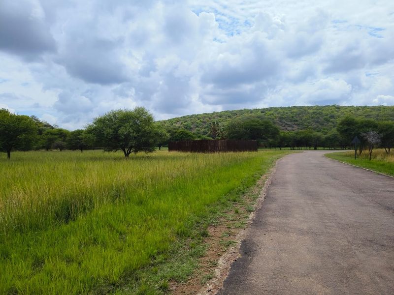 A view of a paved road leading through a grassy, undeveloped residential plot with surrounding trees and hills.