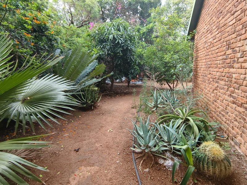 A lush, established garden area featuring mature trees, various succulents, and an exposed brick exterior wall of the property.