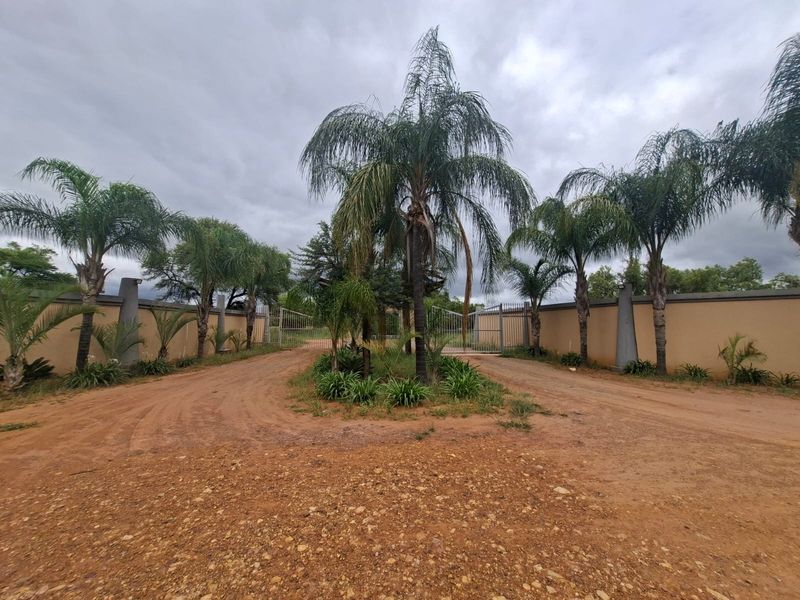 Front entrance view of the vacant residential property featuring a perimeter wall, metal gates, and established palm trees along an unpaved driveway.