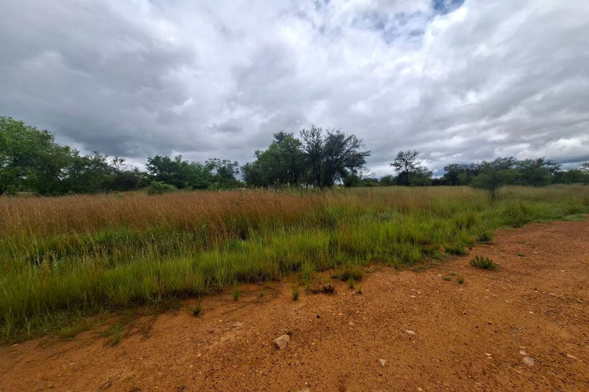 A view of a vacant residential plot featuring natural vegetation and a dirt access path under a cloudy sky.