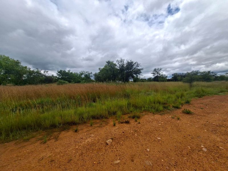 A view of a vacant residential plot featuring natural vegetation and a dirt access path under a cloudy sky.
