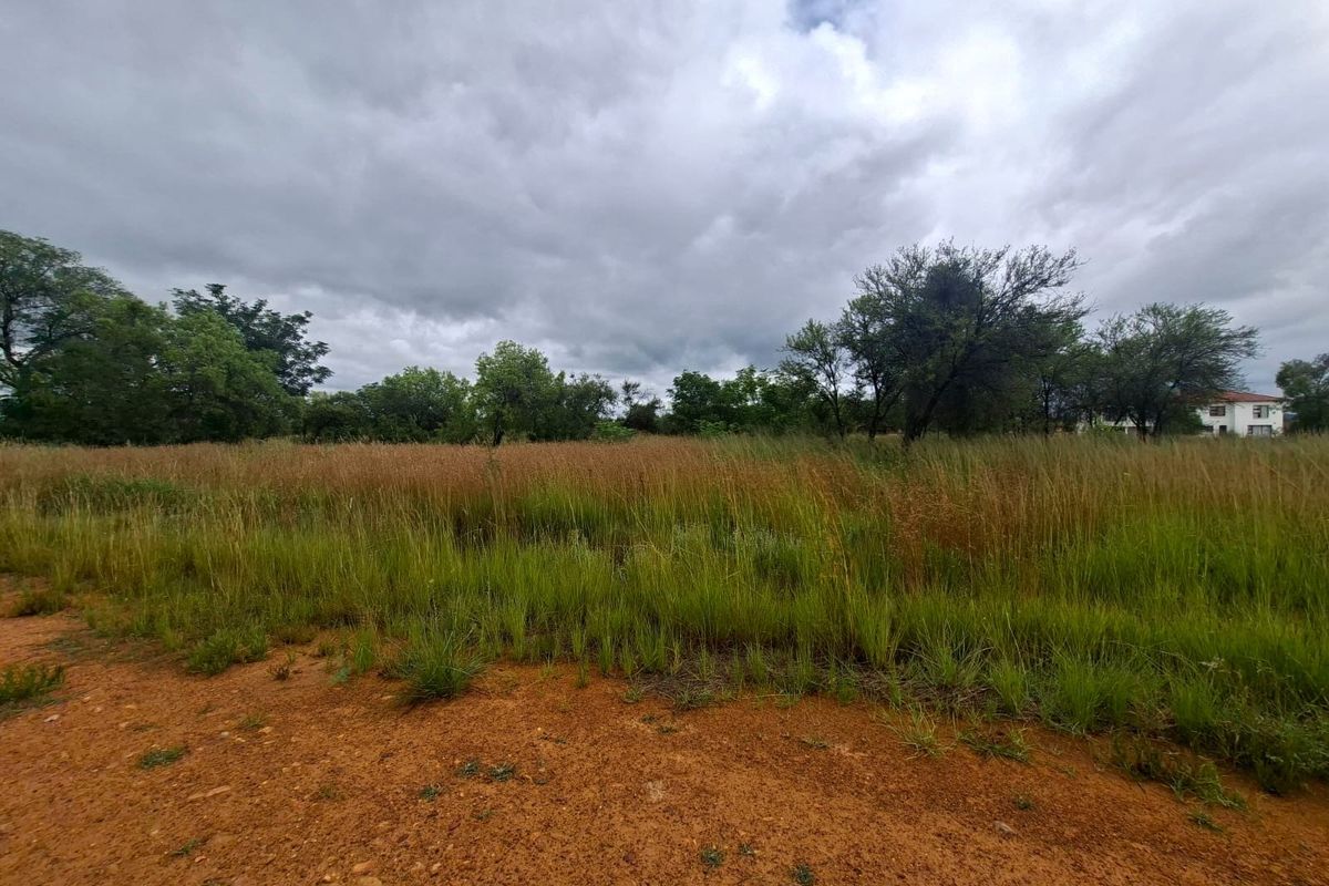 A view of a vacant residential plot featuring natural vegetation and unpaved ground, suitable for future development.