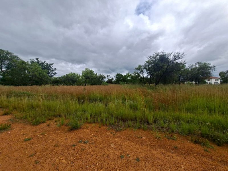 A view of a vacant residential plot featuring natural vegetation and unpaved ground, suitable for future development.