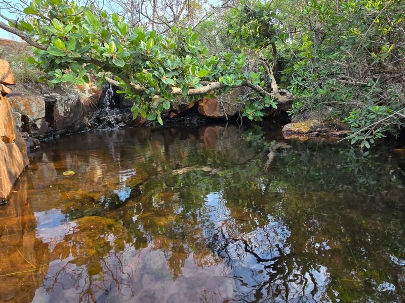 A natural rock pool and water feature set within the landscape of the vacant residential property.
