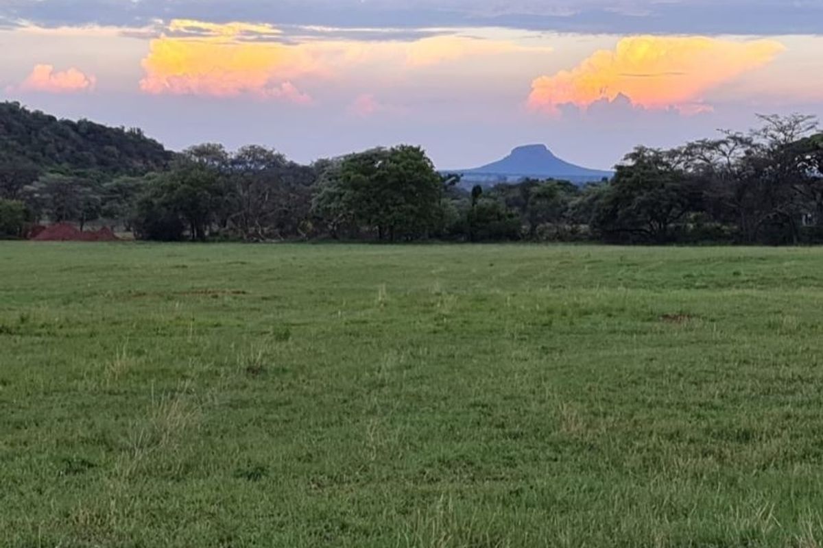 A scenic view of open grassland with mature trees and a distant mountain silhouette under a sunset sky.