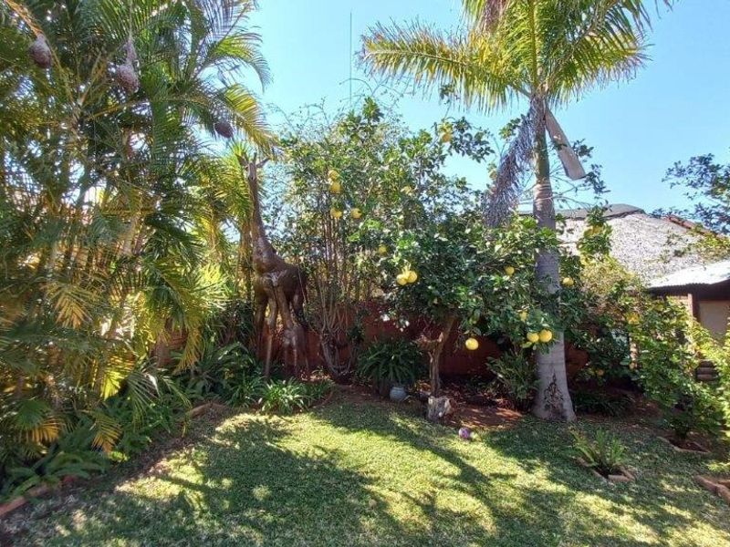 A lush, well-established garden featuring mature trees, greenery, and a maintained lawn area.