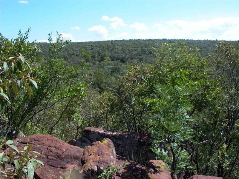 A scenic view overlooking a dense, natural forest landscape with prominent rock formations in the foreground.