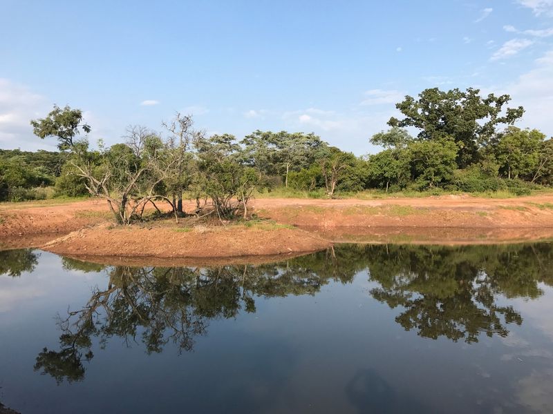 A scenic view of a natural pond and surrounding native bushveld landscape on the residential property.