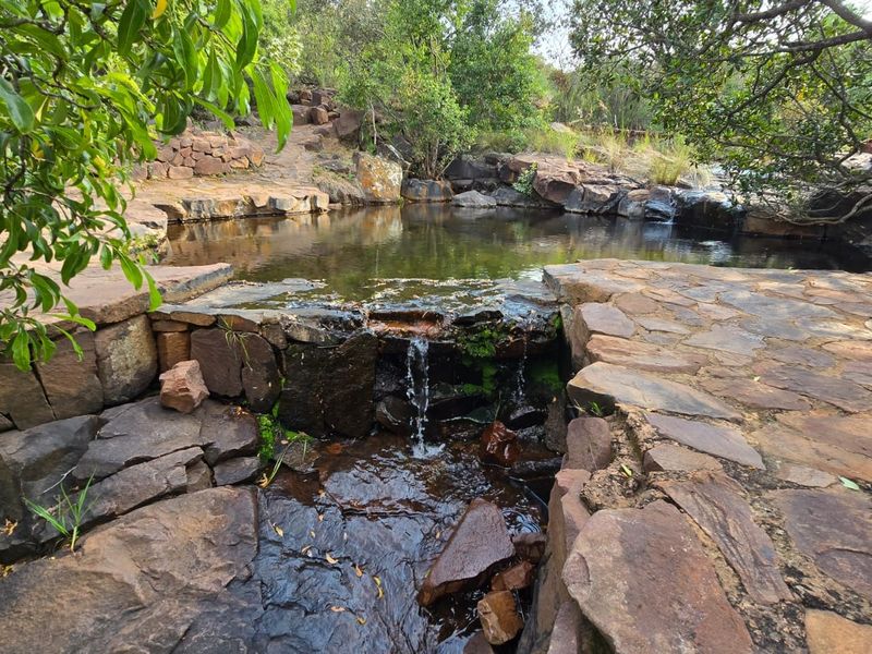 A natural rock pool feature integrated into the landscape with stone paving and retaining walls, offering a serene outdoor setting.