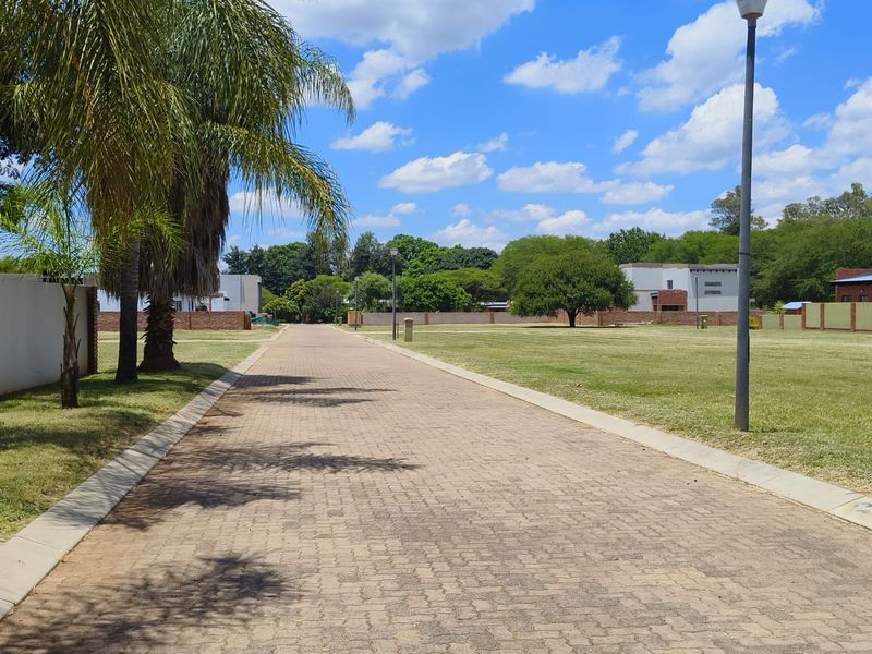 A well-maintained paved access road leading through a residential estate with manicured lawns, perimeter walls, and established trees.