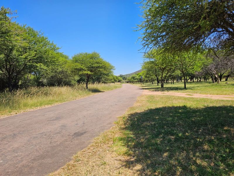A view of a paved road winding through a scenic, tree-lined residential area with established landscaping.