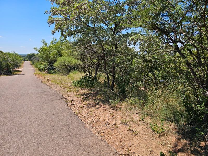 A view of the paved access road bordering the vacant residential stand, featuring established indigenous trees and natural vegetation.