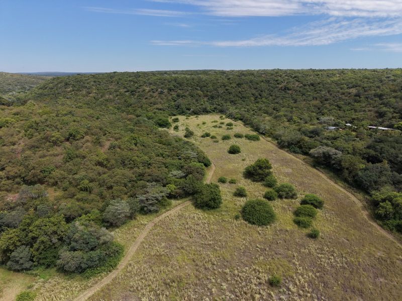 An aerial view of a large, undeveloped farm plot featuring natural bushveld vegetation and a dirt access track.