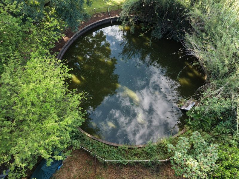 An aerial view of a circular concrete farm reservoir or pool surrounded by overgrown vegetation and trees, requiring significant maintenance and clearing.