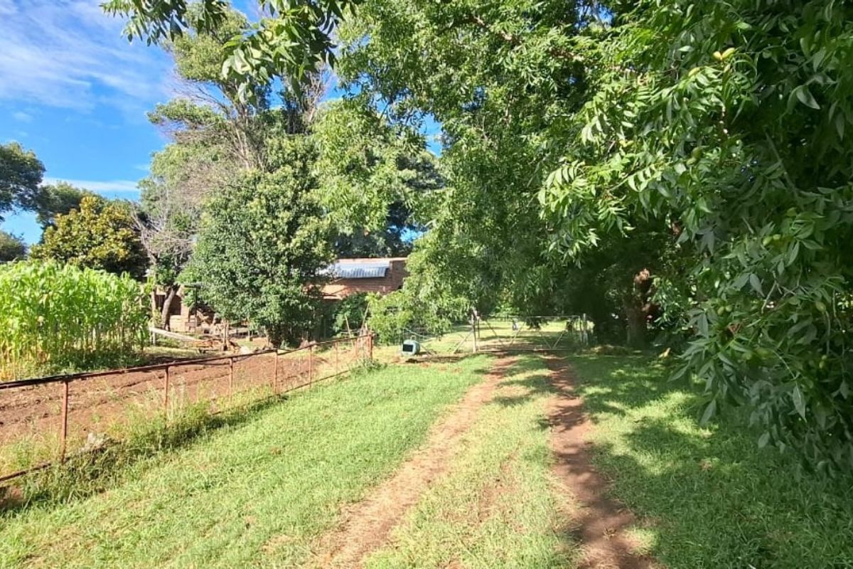 A view of the farm grounds featuring a dirt access track, wire fencing, and a cultivated crop area surrounded by mature trees.
