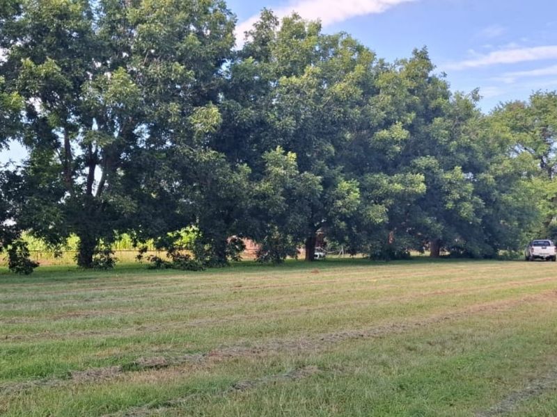 Expansive open lawn area bordered by a line of mature trees on a farm property.