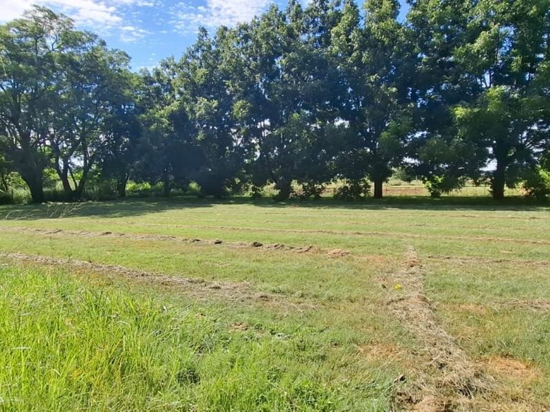 A spacious, open grass field bordered by a line of mature trees on a farm property.