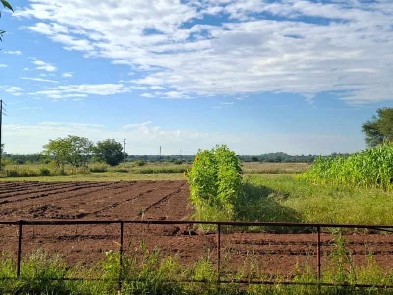 A view of the farm property featuring cultivated soil, a maize crop, and a metal perimeter fence under a clear blue sky.