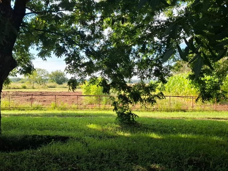 A view of the farm garden featuring mature trees and a wire fence bordering the cultivated land.